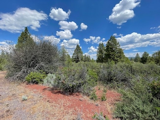 0 David St Unit Block 2 Lot 3, Chiloquin, OR 97624