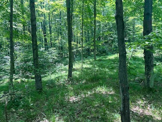W15799 Fawn Acres Dr, Goodman, WI 54120