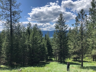 1 Cripple Horse Creek Rd, Libby, MT 59923