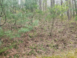 573 Solomon Cir Unit 34, Hendersonville, NC 28739