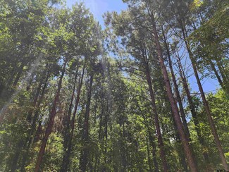 TBD Cr 4114 #2 10 00 Acres, Hughes Springs, TX 75656