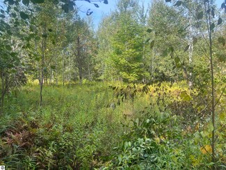 00 W 30 1 4 Rd, Boon, MI 49618