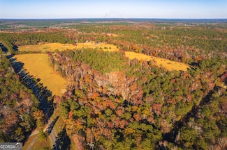 0 Pine Grove Church Rd Unit 10525767, Culloden, GA 31016