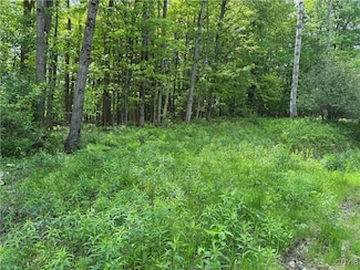0 Cr-48 Unit S1620012, Ellery, NY 14701