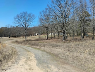 10 Leonard Loop, Damascus, AR 72039