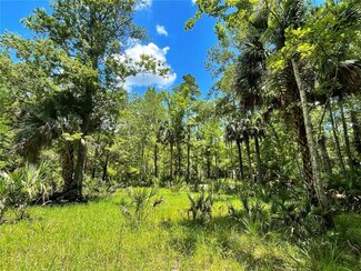 15 SW 719 St, Steinhatchee, FL 32359