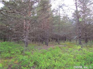 0000 E Eagle Dr Rd, Greig, NY 13345