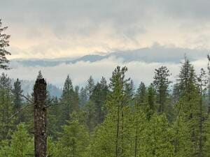 4684 LOT E Grouse Creek Rd, Chewelah, WA 99109