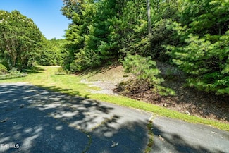 000 Ivy Wood Ln, Mountain City, TN 37683