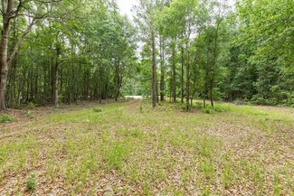 695 Log Landing Rd, Springfield, GA 31329