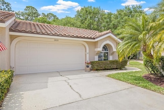 3810 Darston St, Palm Harbor, FL 34685