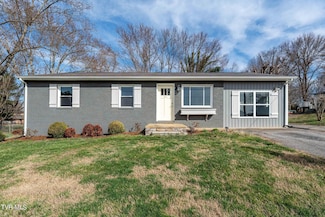 166 Valleyview St, Johnson City, TN 37615