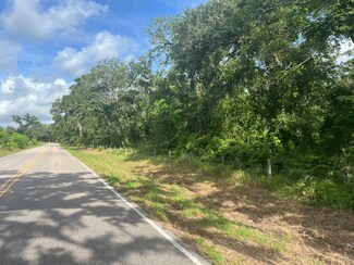 0 County Road 353, Wild Peach Village, TX 77422