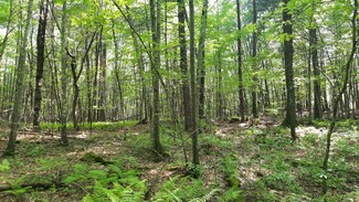 Lot 169D Kapitulik Rd, Thompson, CT 06255