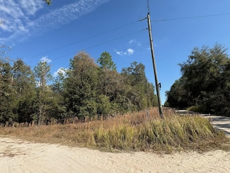 000 NE 78th Ln, Bronson, FL 32621