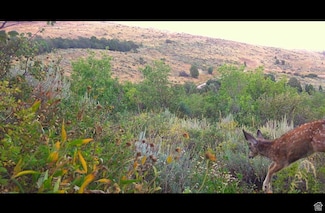 1727 N Rendezvous Run Unit E 9, Garden City, UT 84028