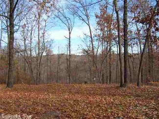 0 Red Bluff Rd Unit 10334216, Marshall, AR 72650