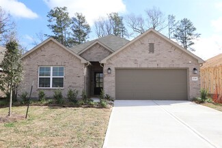17339 Silver Birch Ct, New Caney, TX 77357