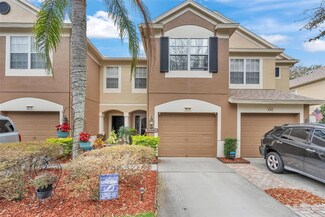 8418 Sandy Beach St, Tampa, FL 33634