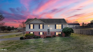 167 Cambridge Grove Way, Jonesborough, TN 37659