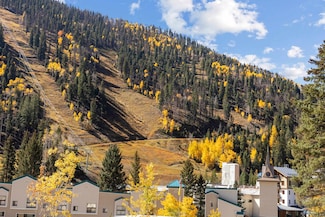 5 Ernie Blake Rd Unit 301/302, Taos Ski Valley, NM 87525