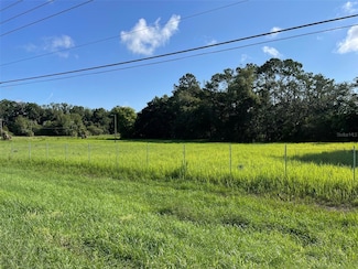 11585 Us-441 S, Belleview, FL