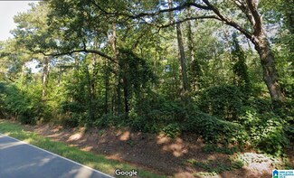 00 Sylacauga Fayetteville Hwy, Sylacauga, AL 35151