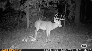 Tbd Sunset Shores Ln, Camdenton, MO 65324