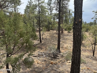 40 Timber Ridge Loop, Show Low, AZ 85901