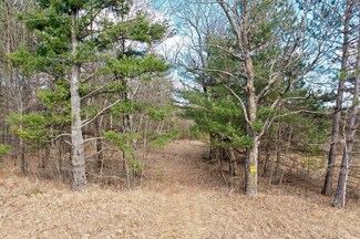 2759 Barron-Polk St, Maple Plain Township, WI 54829