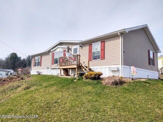 29 Cardinal Cir, Shavertown, PA 18708