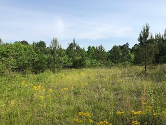 221 Fowler Dr, Mitchell, GA 30820