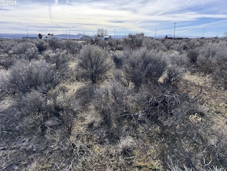 0 Aspen Unit 20800, Christmasvalley, OR 97641