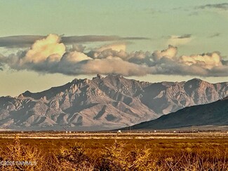 TBD Dripper Ranch Rd, Deming, NM 88030