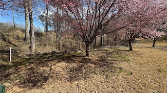 5208 Prestley Crossing Ln, Douglasville, GA 30135