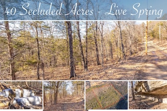 10349 Sinclair Ln, Omaha, AR 72662
