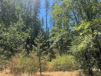 90 Pine Oak Ln, Quincy, CA 95971