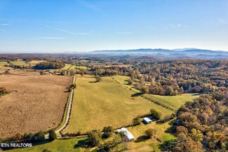 7 Trigonia Rd, Maryville, TN 37801