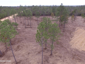 0 Lakeside Dr Unit Parcel A 751458, Marianna, FL 32446