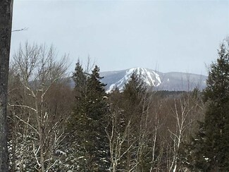 Lot 23/24 Stratton Gardens Rd Unit 23 & 24, Winhall, VT 05340