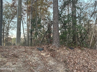 204 Lakeview Dr, Whispering Pines, NC 28327