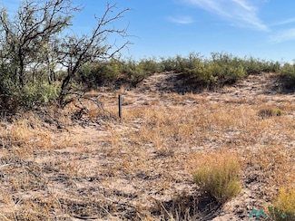 XXXX Acequia Rd SW, Deming, NM 88030