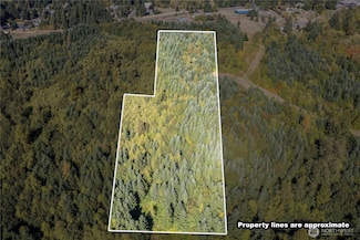 0 Lot 5 Spirit Lake Parcel Wk3612010 Hwy, Castle Rock, WA 98611