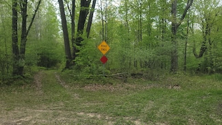 0000 Cassidy Rd, Sherman Township, MI 48624