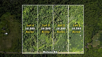 V/L Nelson Rd, L'Anse, MI 49946