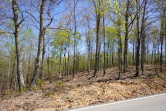 2 Tennessee 232, Stewart, TN 37175