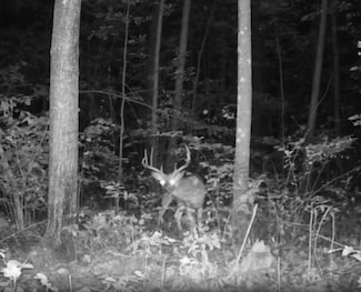 330th street 330th St, Onamia, MN 56359