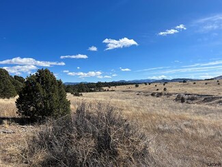 TBD 19th Trail, Cotopaxi, CO 81223