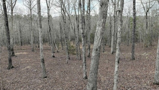 TBD Dogwood Springs Ln, Mena, AR 71953