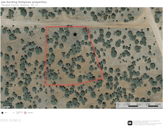 32701 Forest Ln Unit 1842, Seligman, AZ 86337